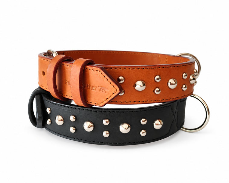 Studded Collar - 32mm