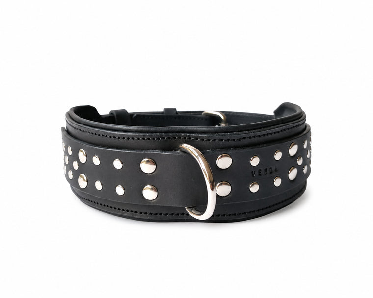 Bold Leather Studded Collar - 50mm
