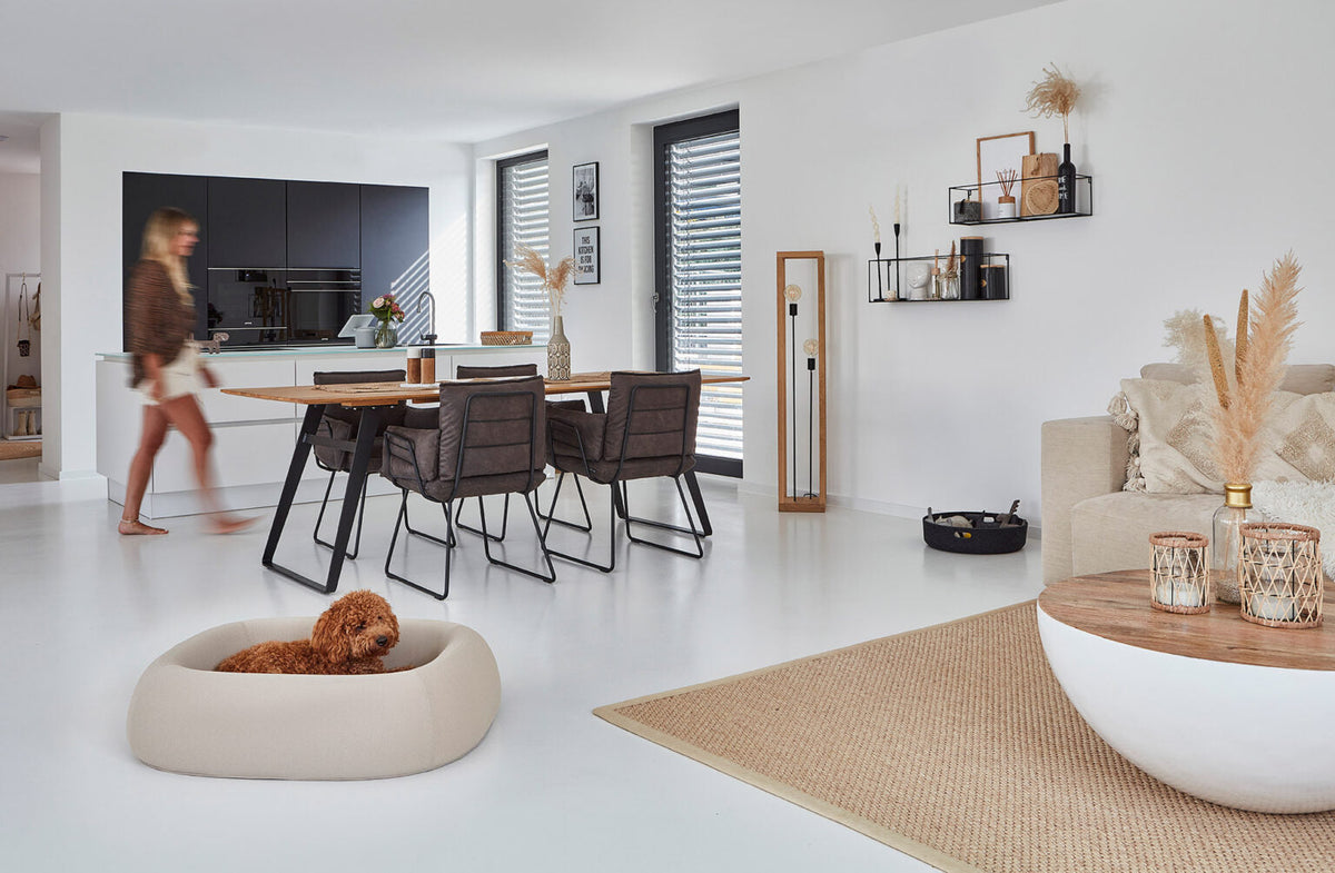 Luxury Living with Pets: Design Without Compromise