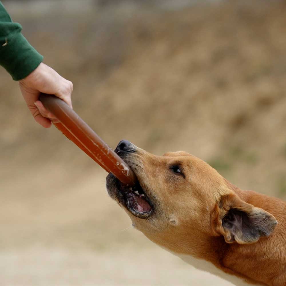 Rub Bite