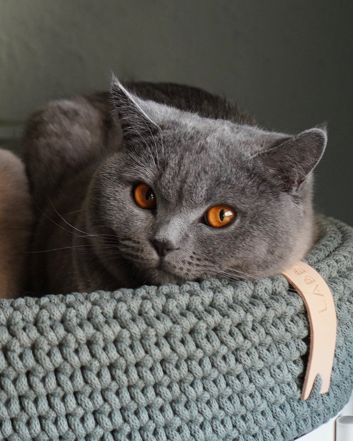 Coco