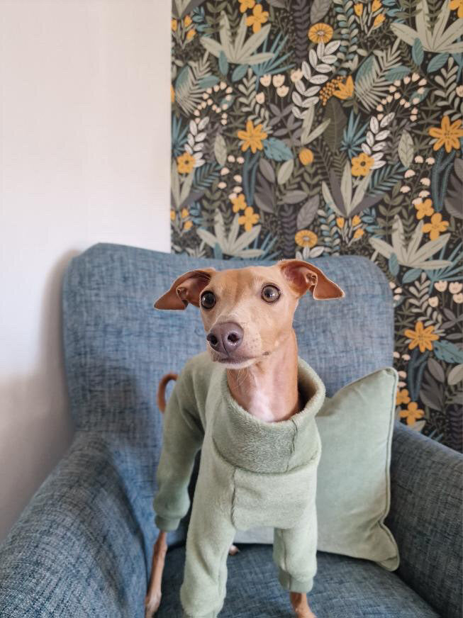 Fleece Lined Sweatshirt