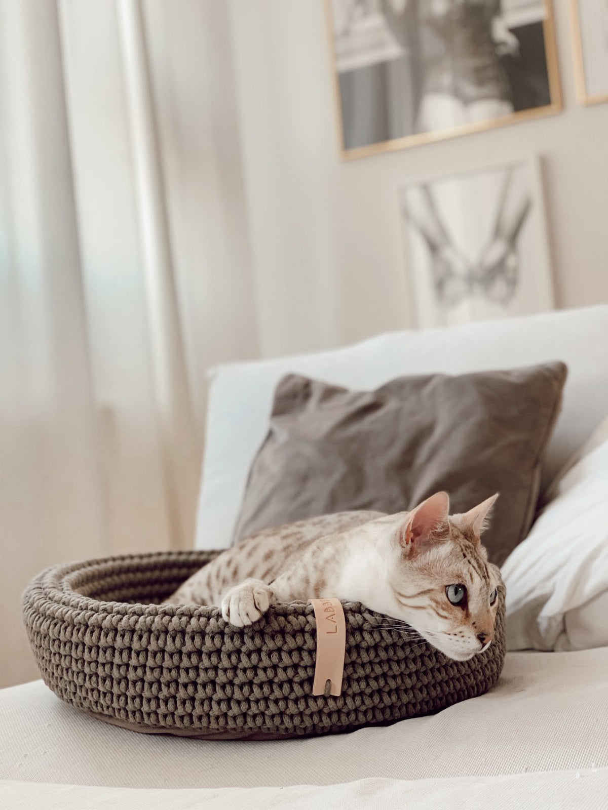Coco