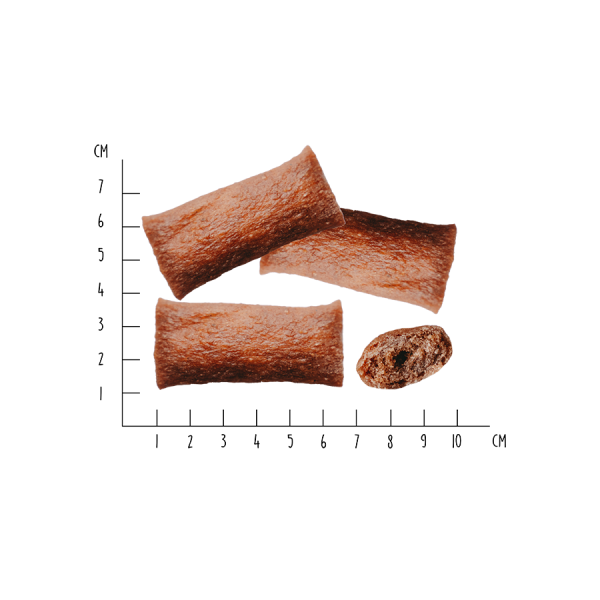 Dentals