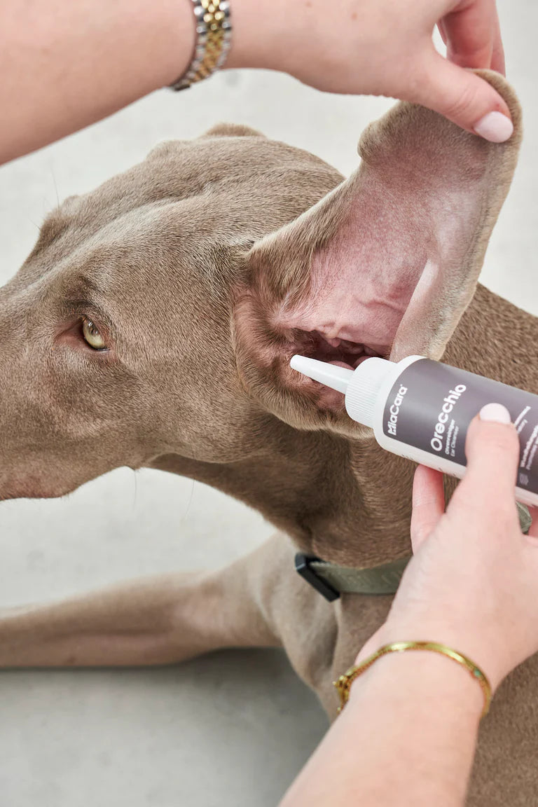 Orecchio Ear Cleanser