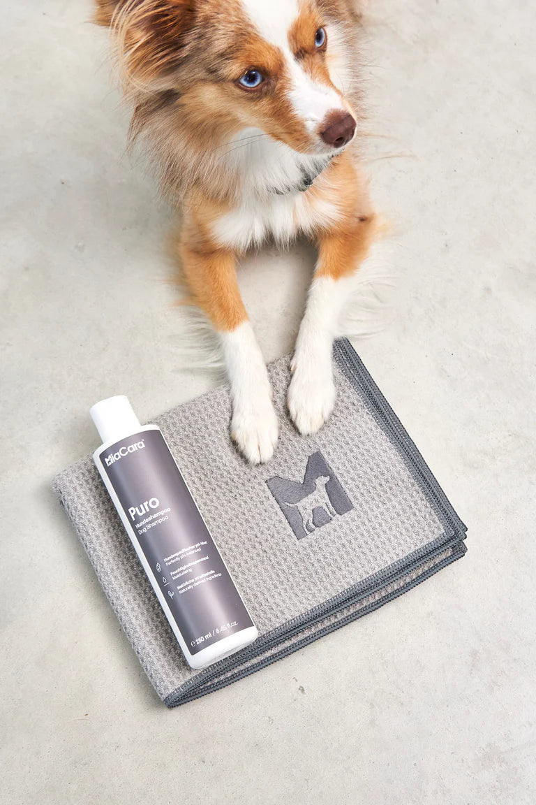 Panno Dog Towel
