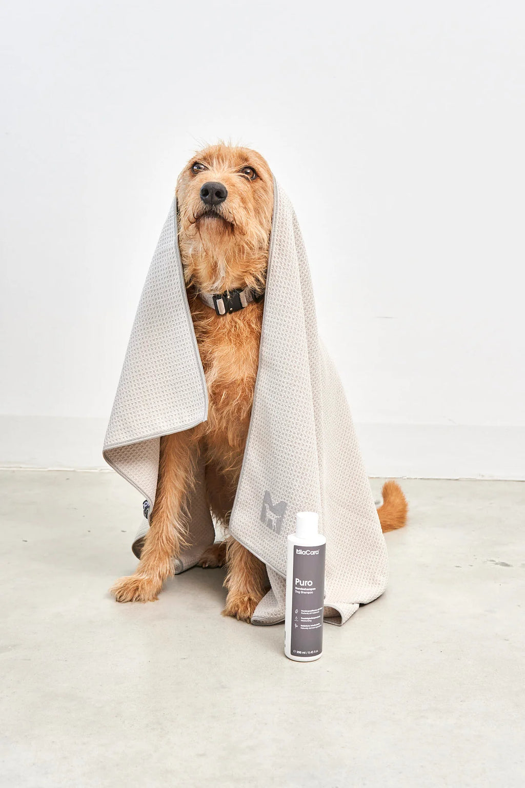 Panno Dog Towel