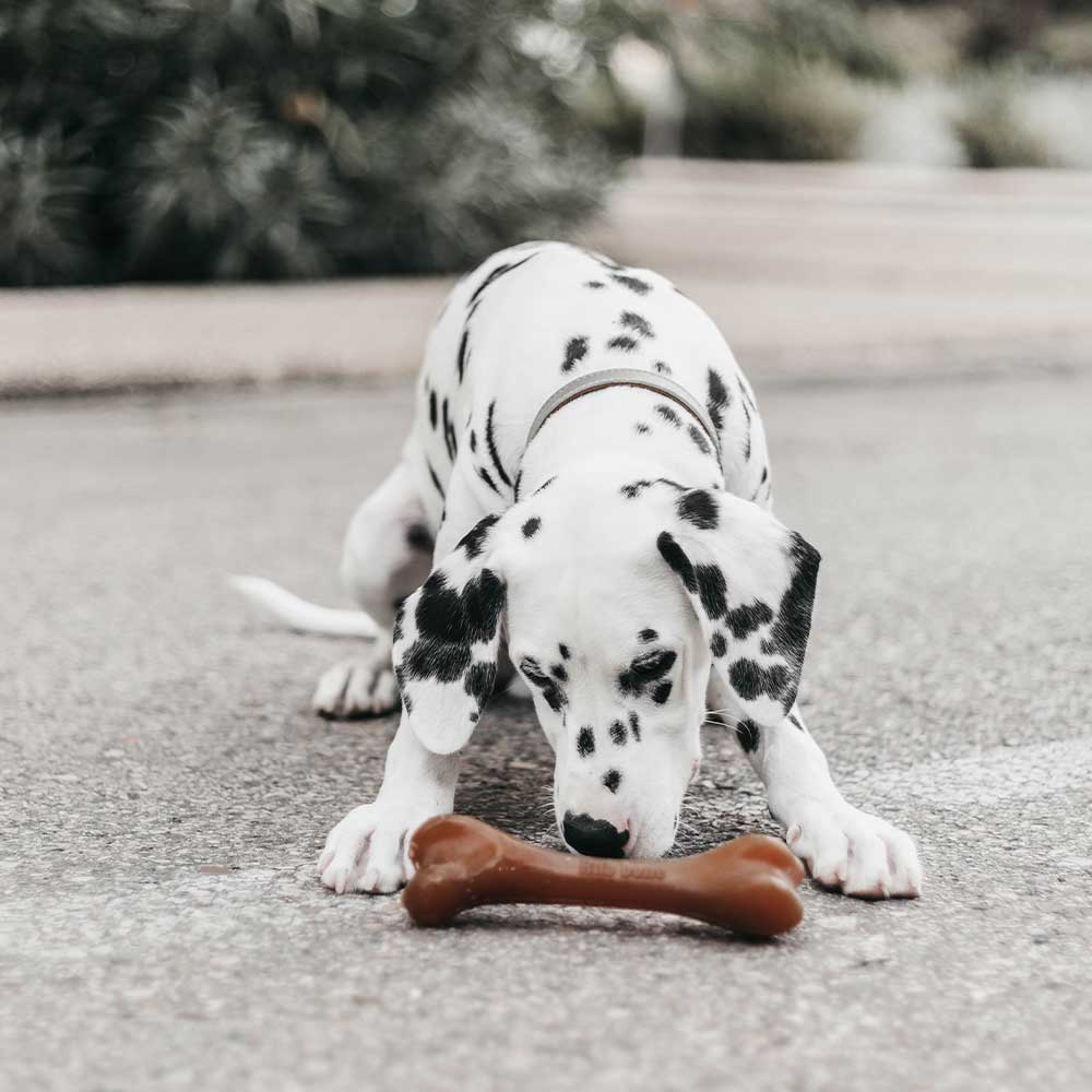 Rub Bone
