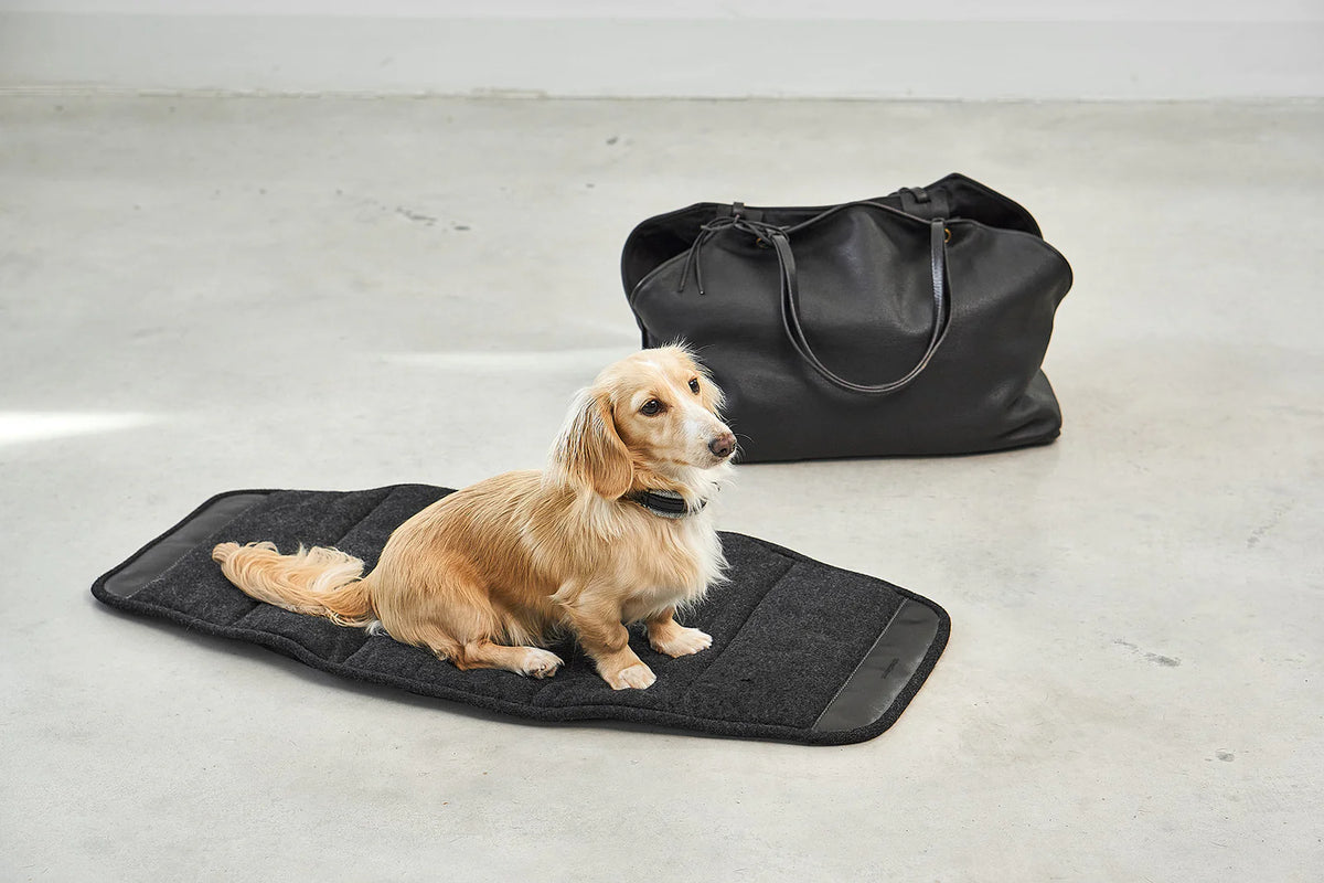 Borsa