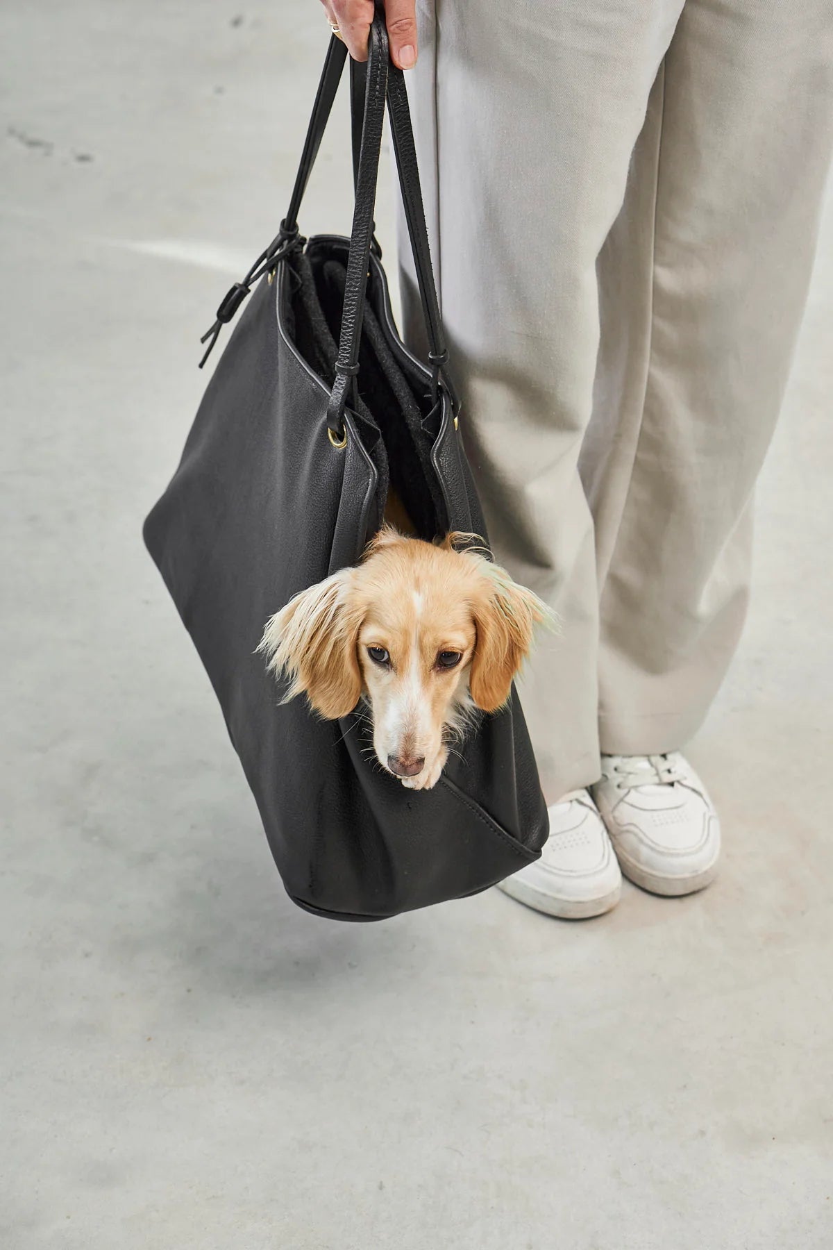 Borsa