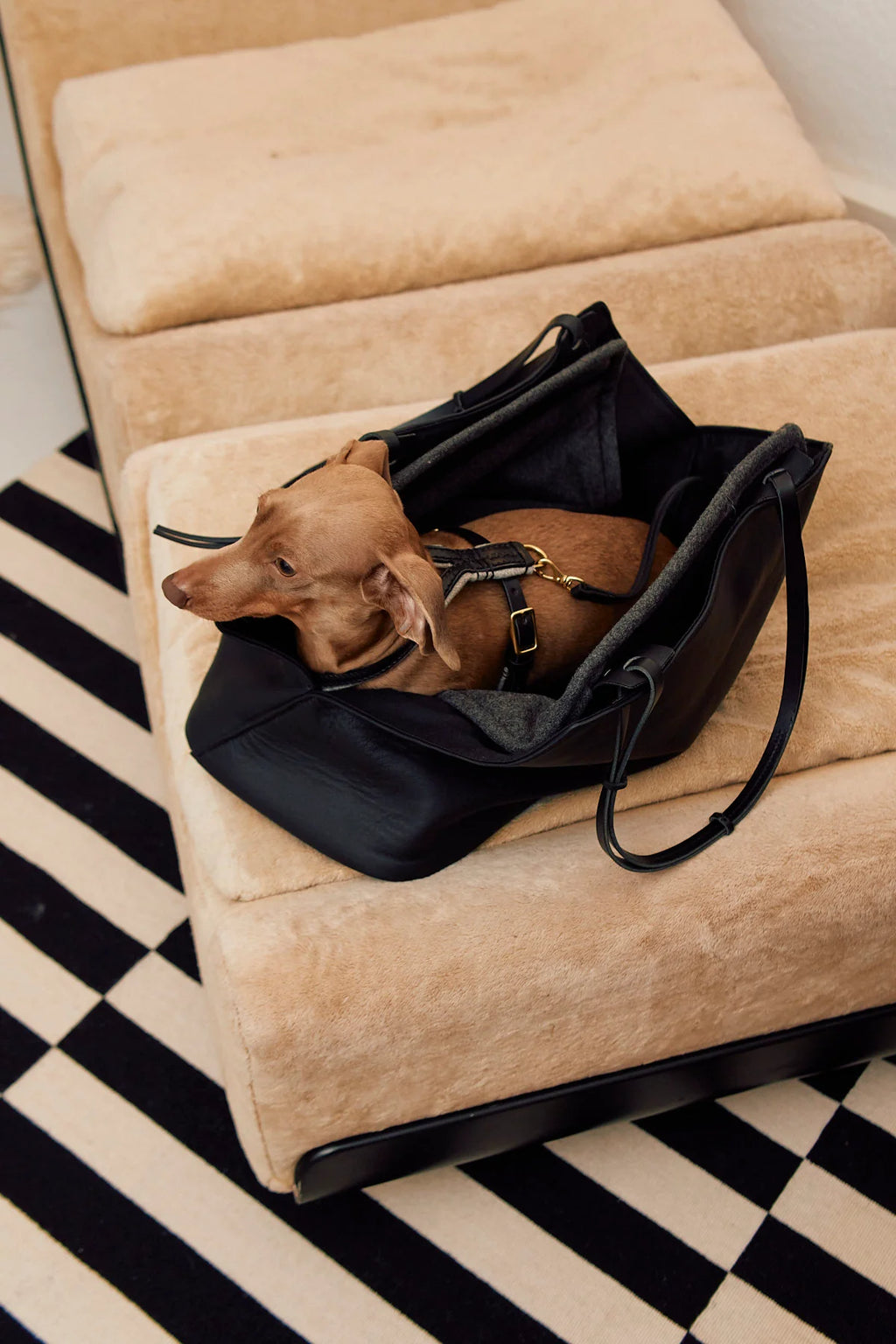 Borsa