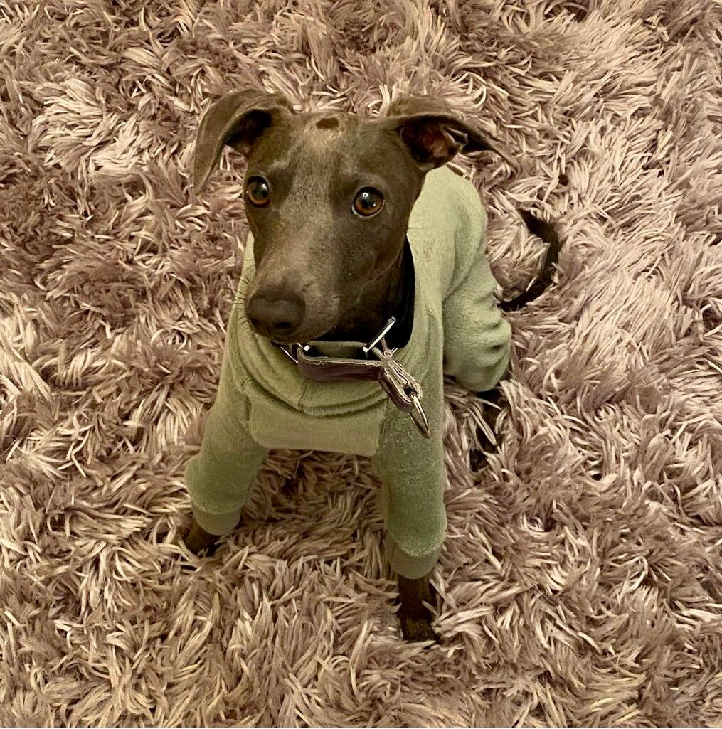 Fleece Lined Sweatshirt