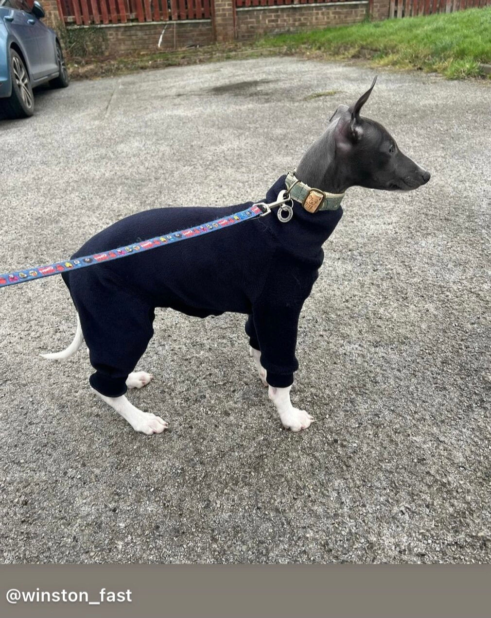Fleece Lined Sweatshirt