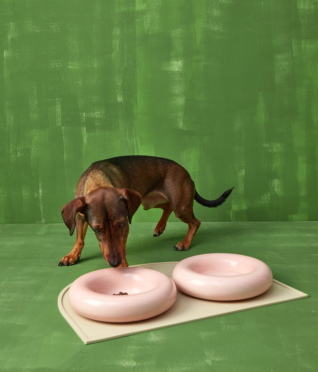 Donut