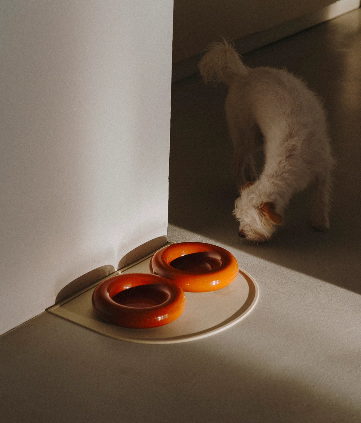 Donut