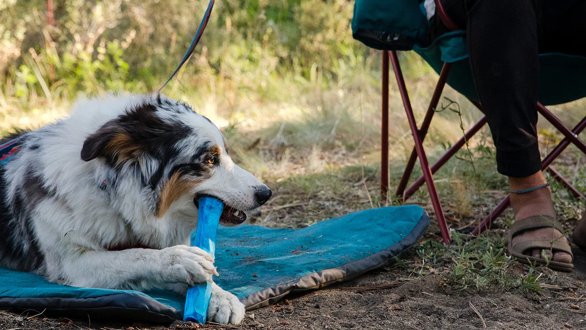 Gnawt-a-Stick