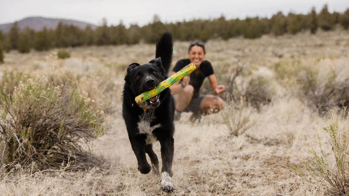 Gnawt-a-Stick