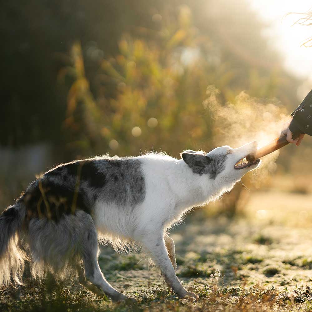 Rub Bite