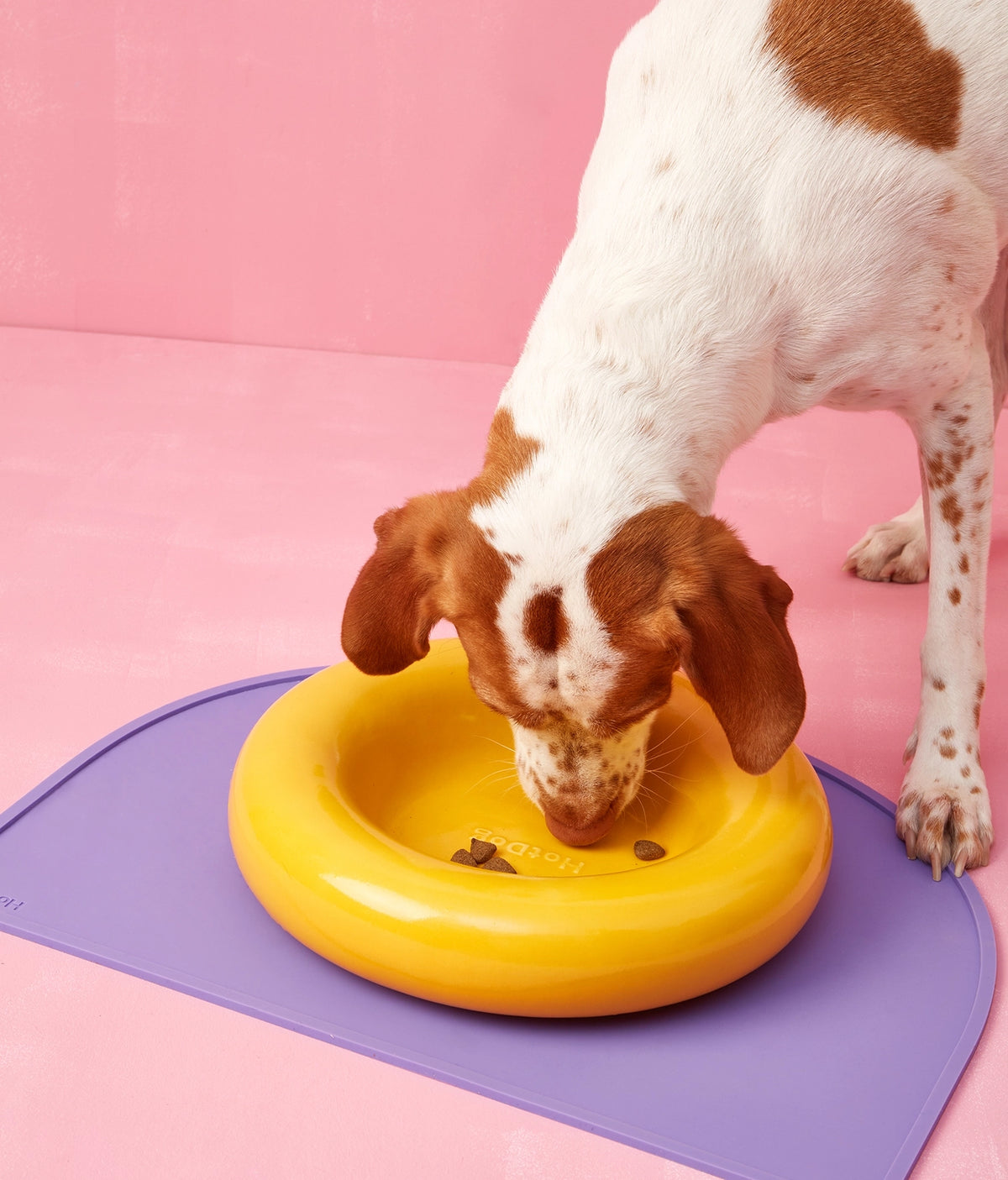 Donut