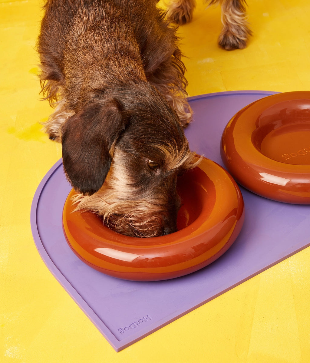 Donut