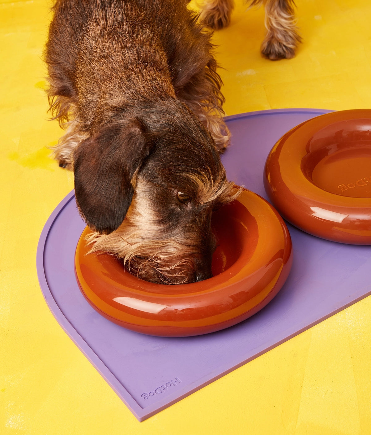 Donut