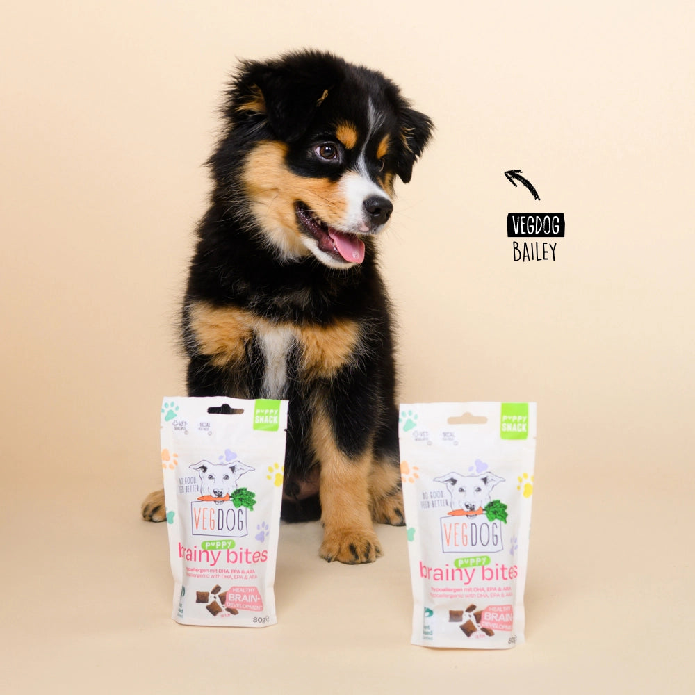 Brainy Bites 80G