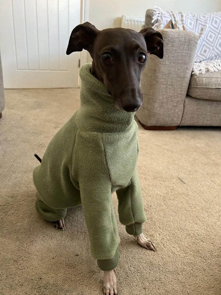 Fleece Lined Sweatshirt