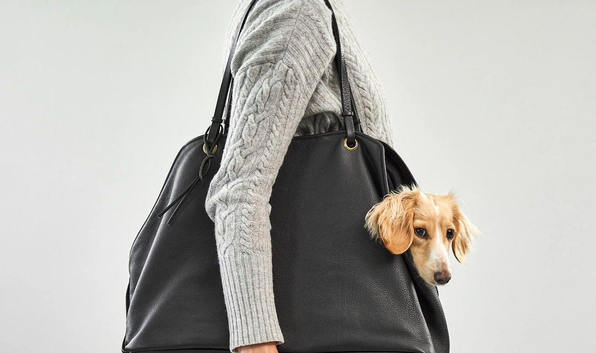 Borsa