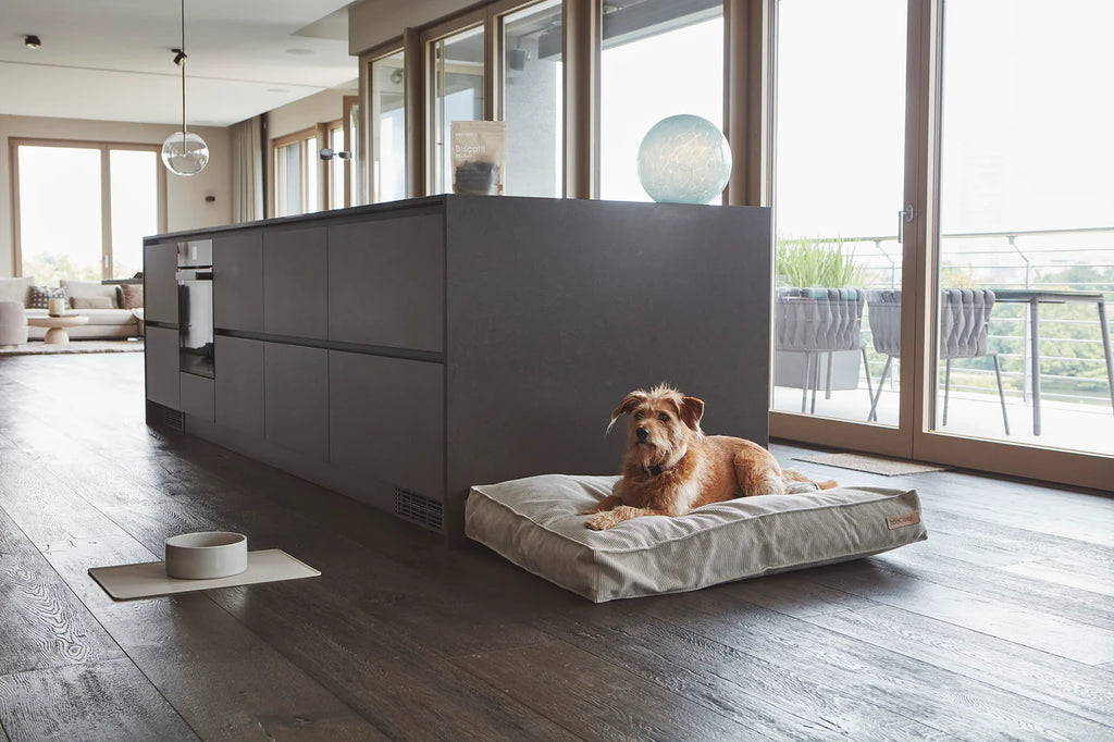 Cordo