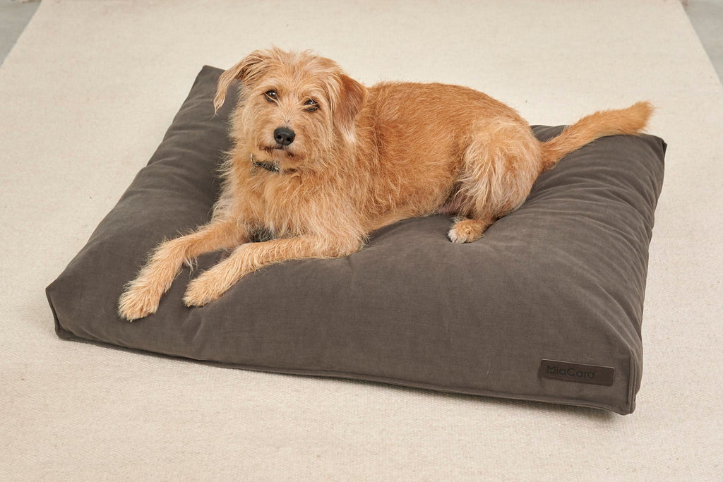 MiaCara Comodo replacement cover