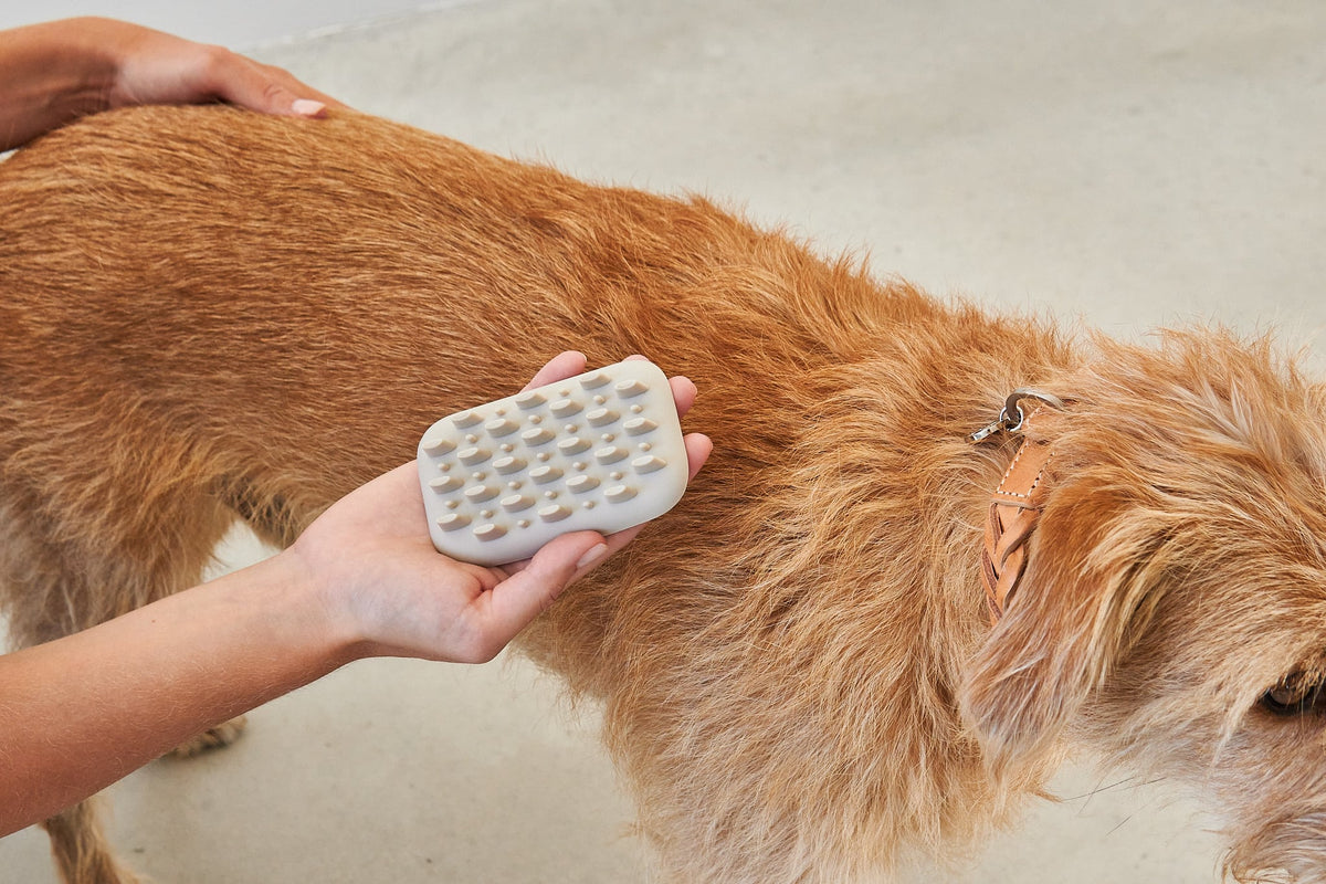 Pelo Dog Brush