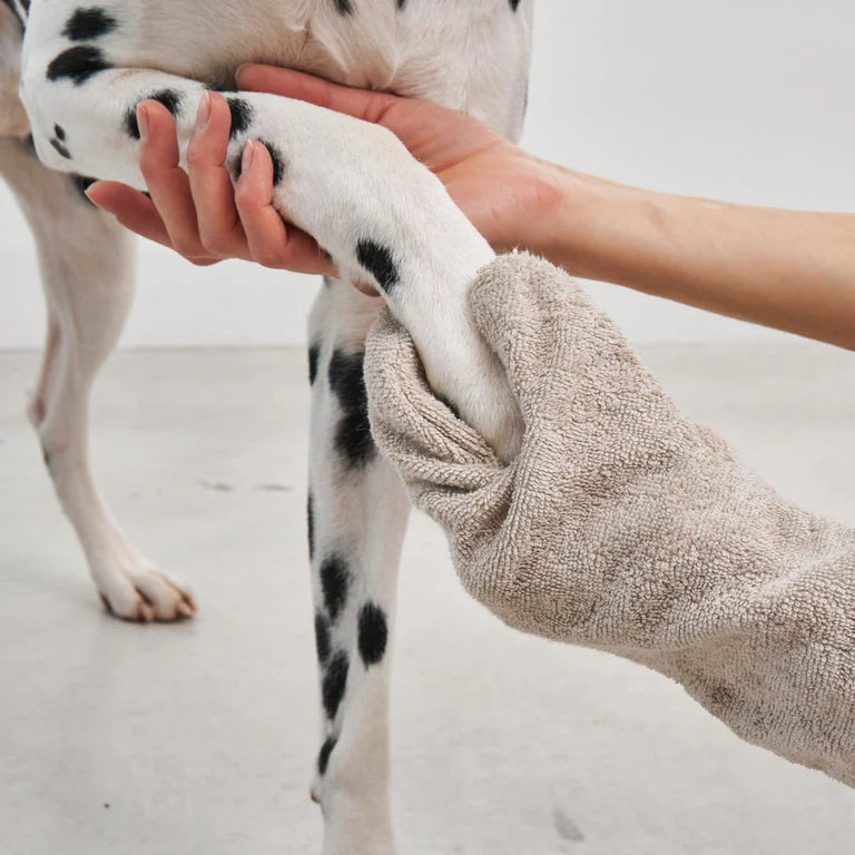 Guanto Dry Glove