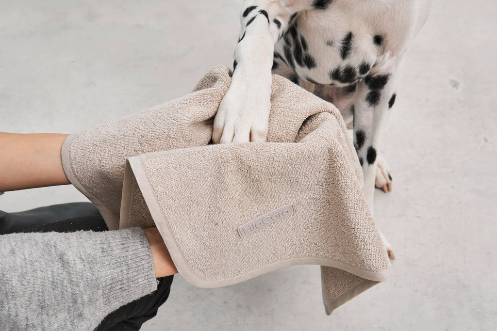 Secco Terry Dog Dry Towel