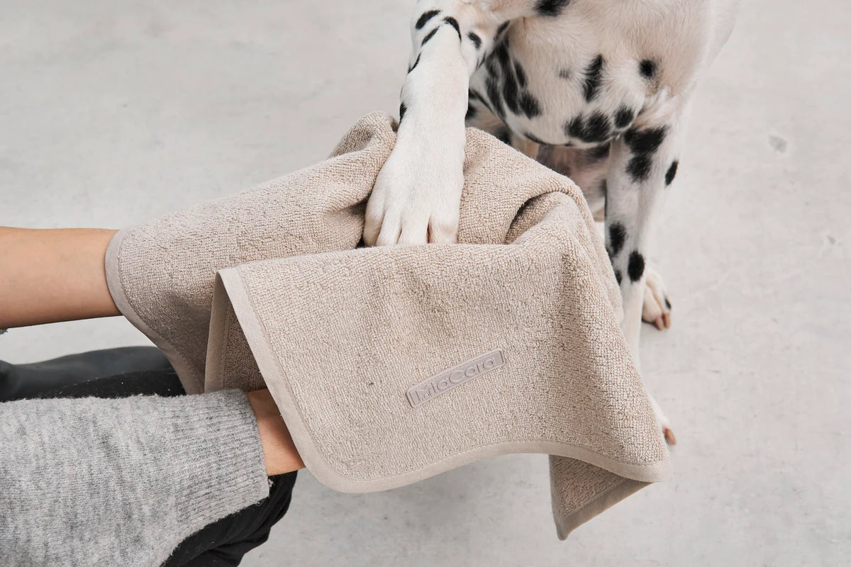 Secco Terry Dog Dry Towel