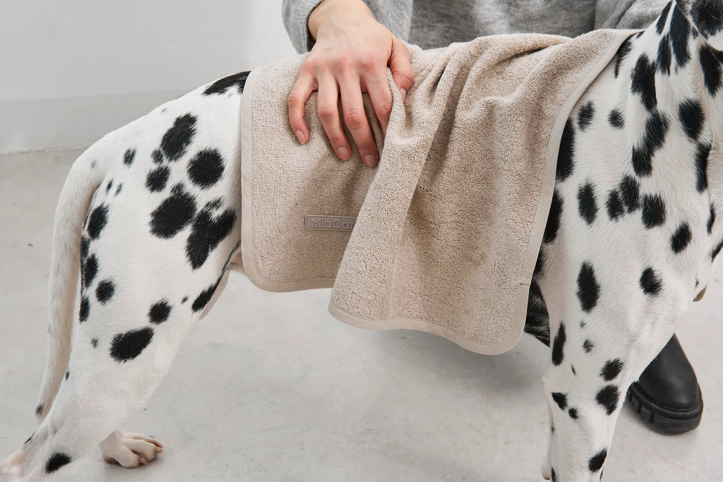 Secco Terry Dog Dry Towel