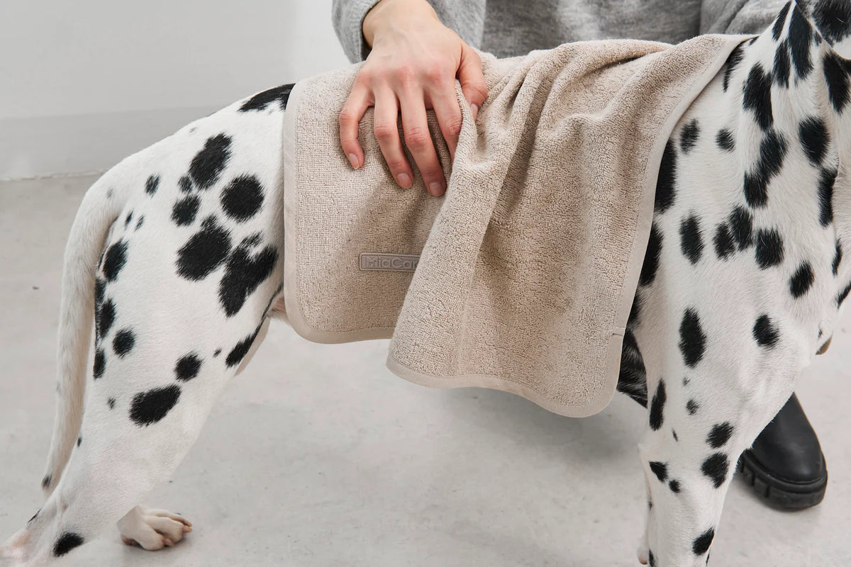 Secco Terry Dog Dry Towel