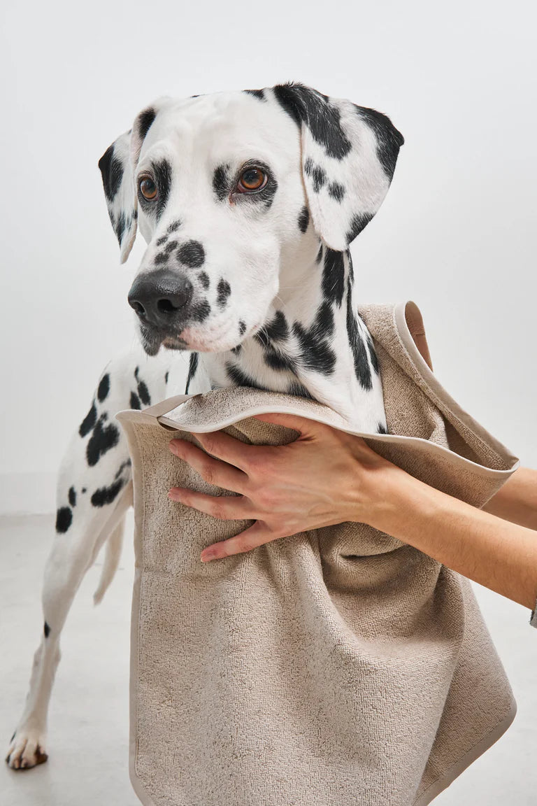 Secco Terry Dog Dry Towel