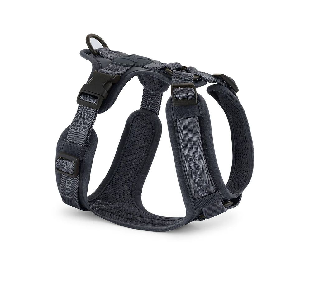 Modena Harness