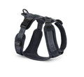 Modena Harness