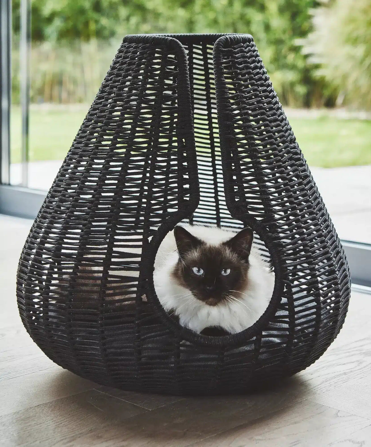 Perla