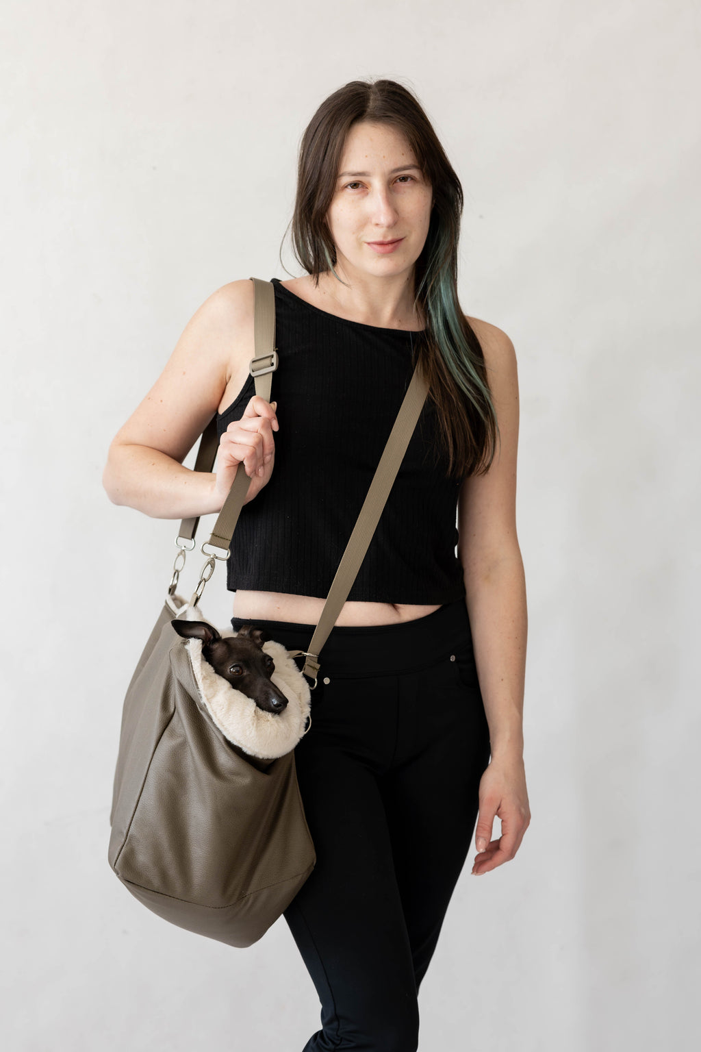 AuroraWilc Travel dog carrier — carrying