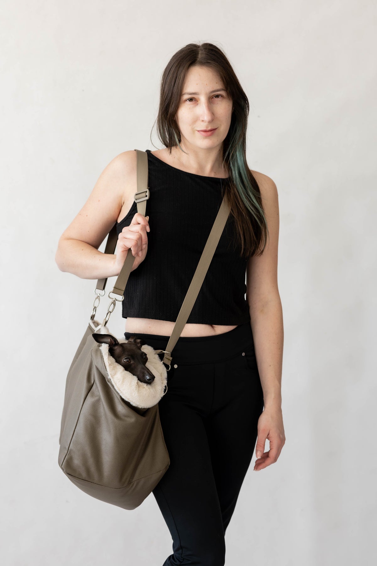 AuroraWilc Travel dog carrier — carrying