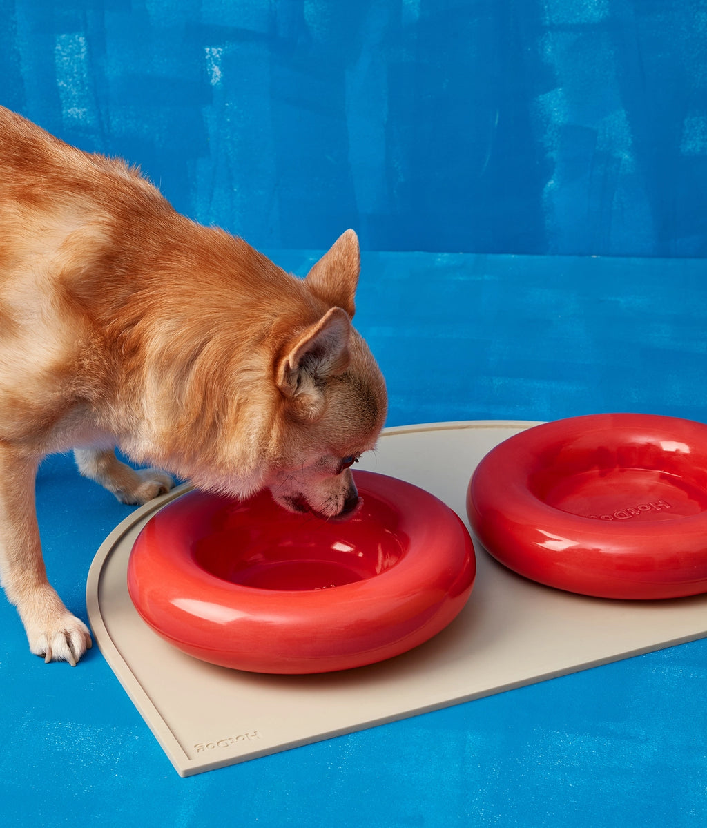 Donut