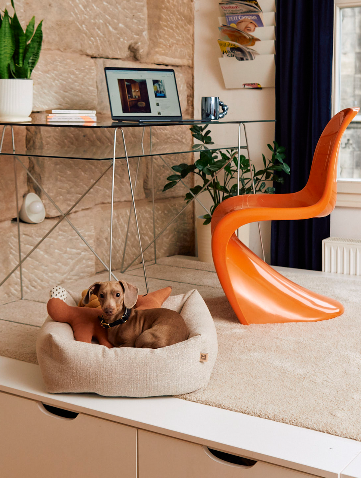 MiaCara Campo Piccolo dog bed