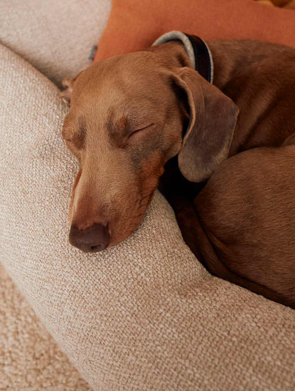MiaCara Campo Piccolo dog bed