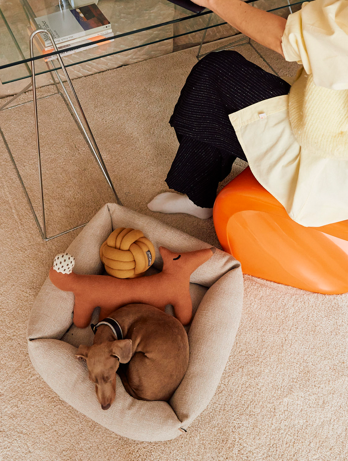 MiaCara Campo Piccolo dog bed