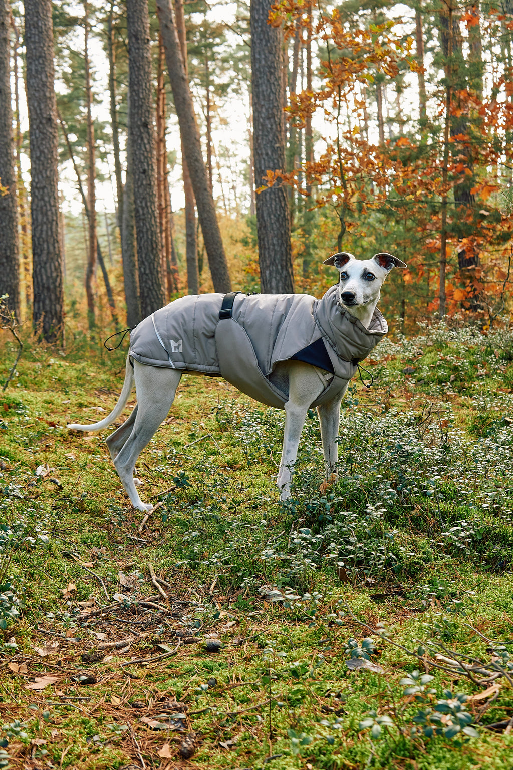 MiaCara Cosima winter dog coat
