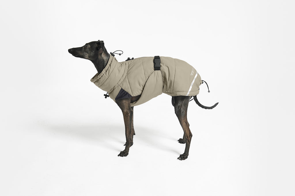 MiaCara Cosima winter dog coat