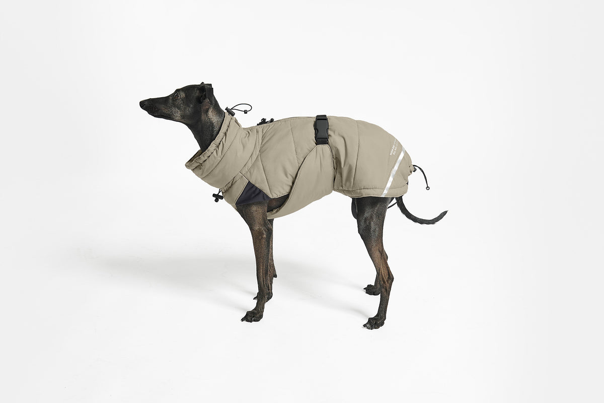 MiaCara Cosima winter dog coat