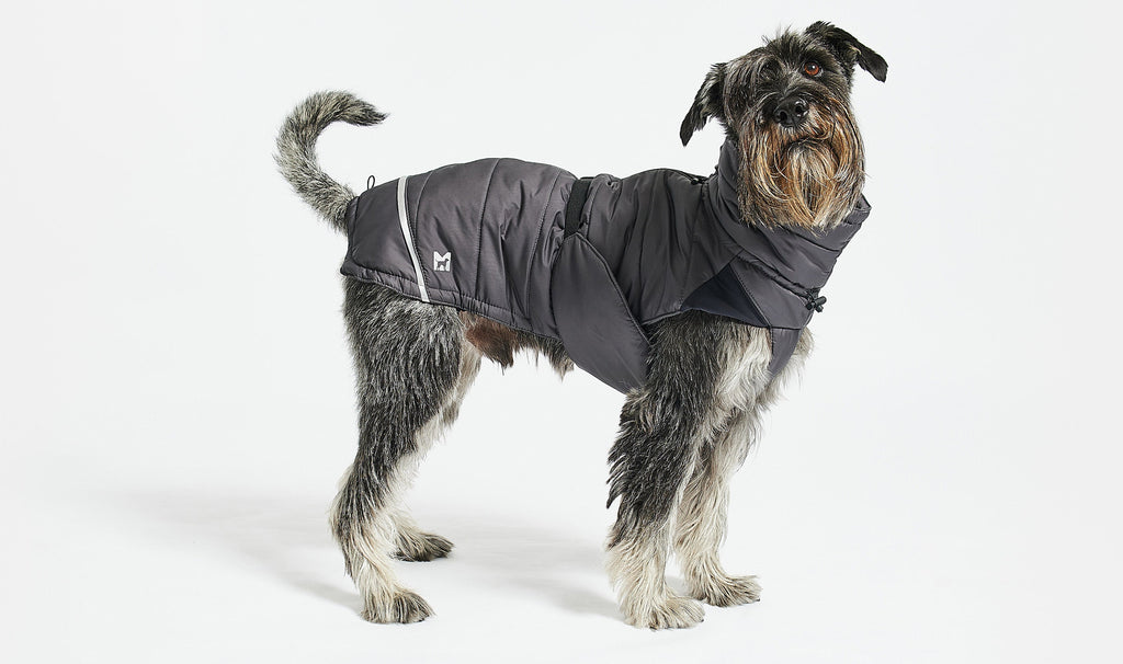MiaCara Cosima winter dog coat